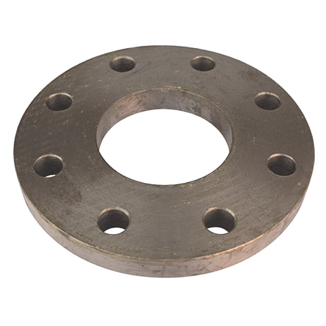 SS 317/317L Plate Flanges Exporters